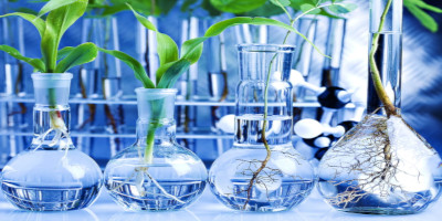 Biotecnologia